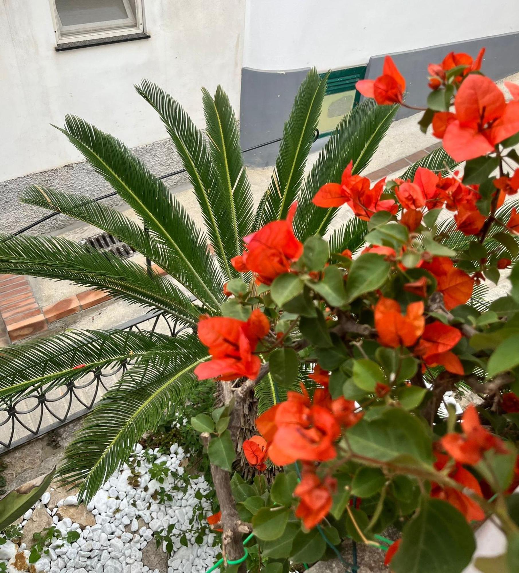 Alle Stelle B&B Anacapri  Buitenkant foto