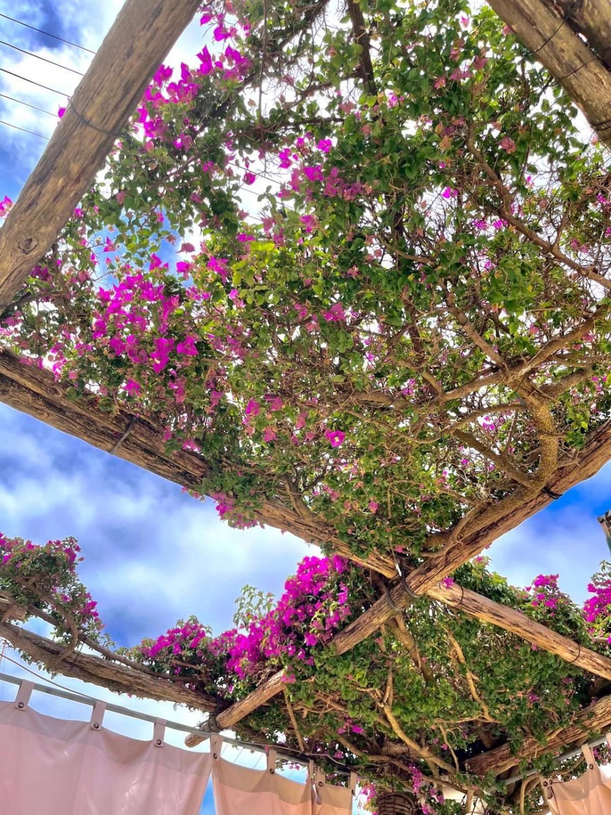 Alle Stelle B&B Anacapri  Buitenkant foto