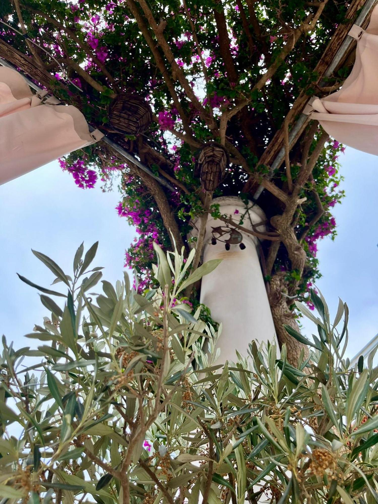 Alle Stelle B&B Anacapri  Buitenkant foto